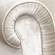 FITTED WELTED ARM